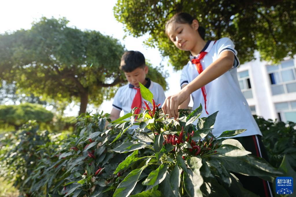 老虎机大师